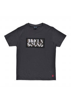 Brums Short sleeve t-shirt Grey