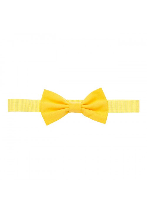Gaudì Ties/Bowties Yellow