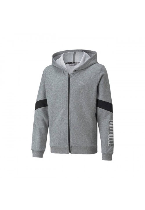 Puma Hooded sweaters Grey